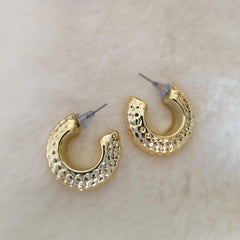 Golden Beautiful Korean Hoops Fashion Earrings