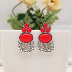 Red Color Stone Oval Shape Silver Oxidised Exclusive Earrings